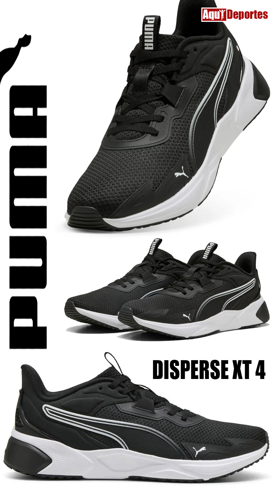 DISPERSE XT 4