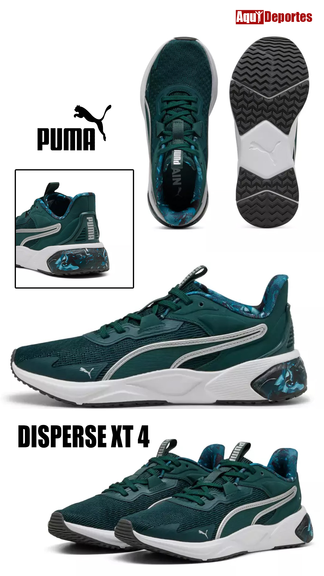 DISPERSE XT 4