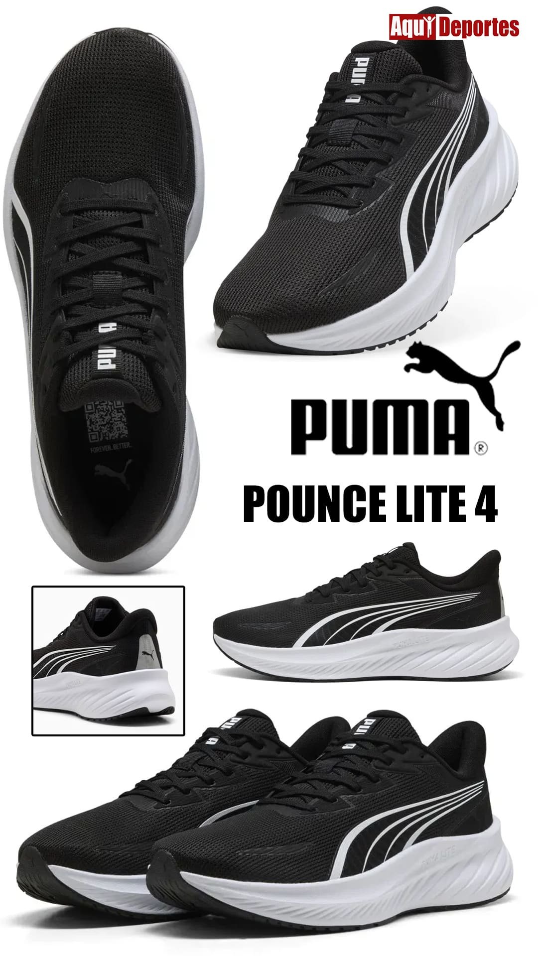 POUNCE LITE 2