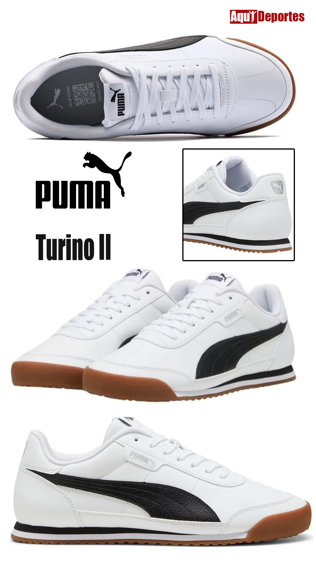 TURINO II