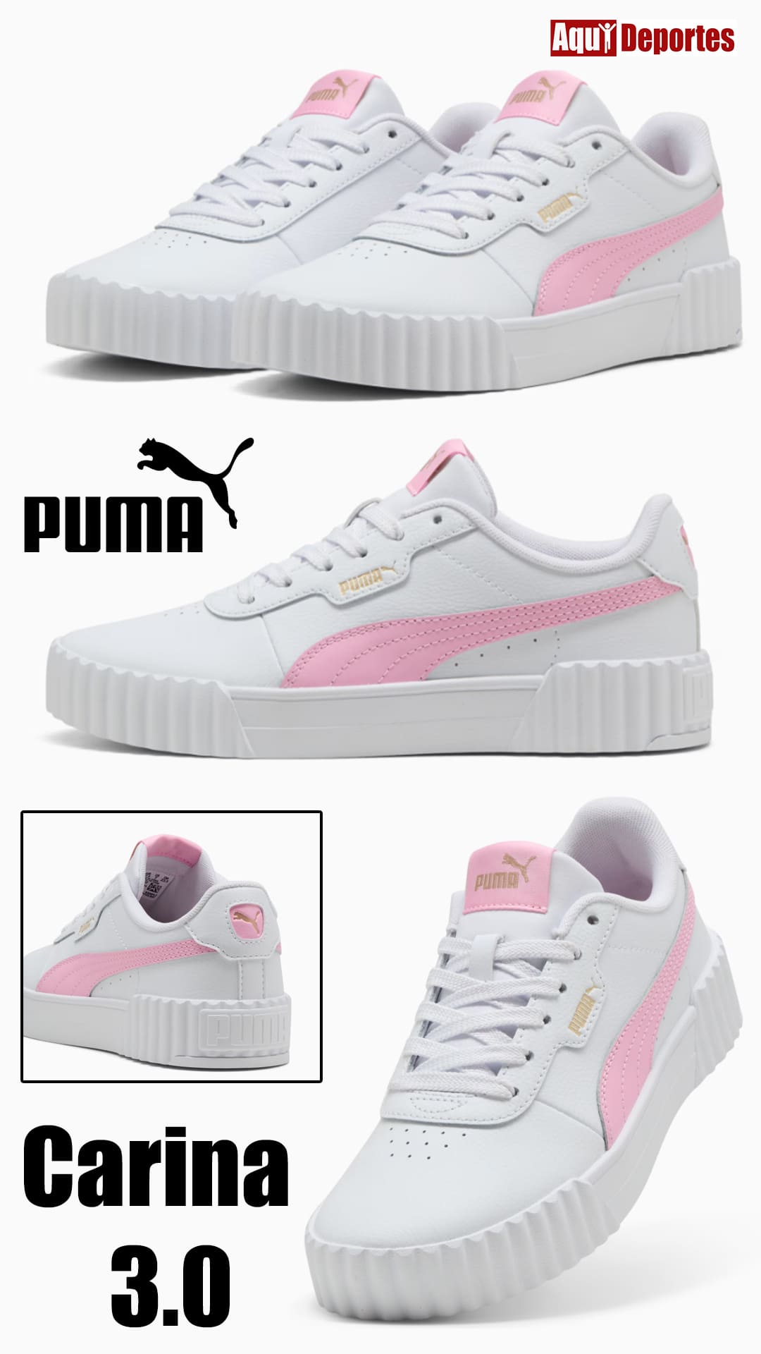 CARINA 3.0