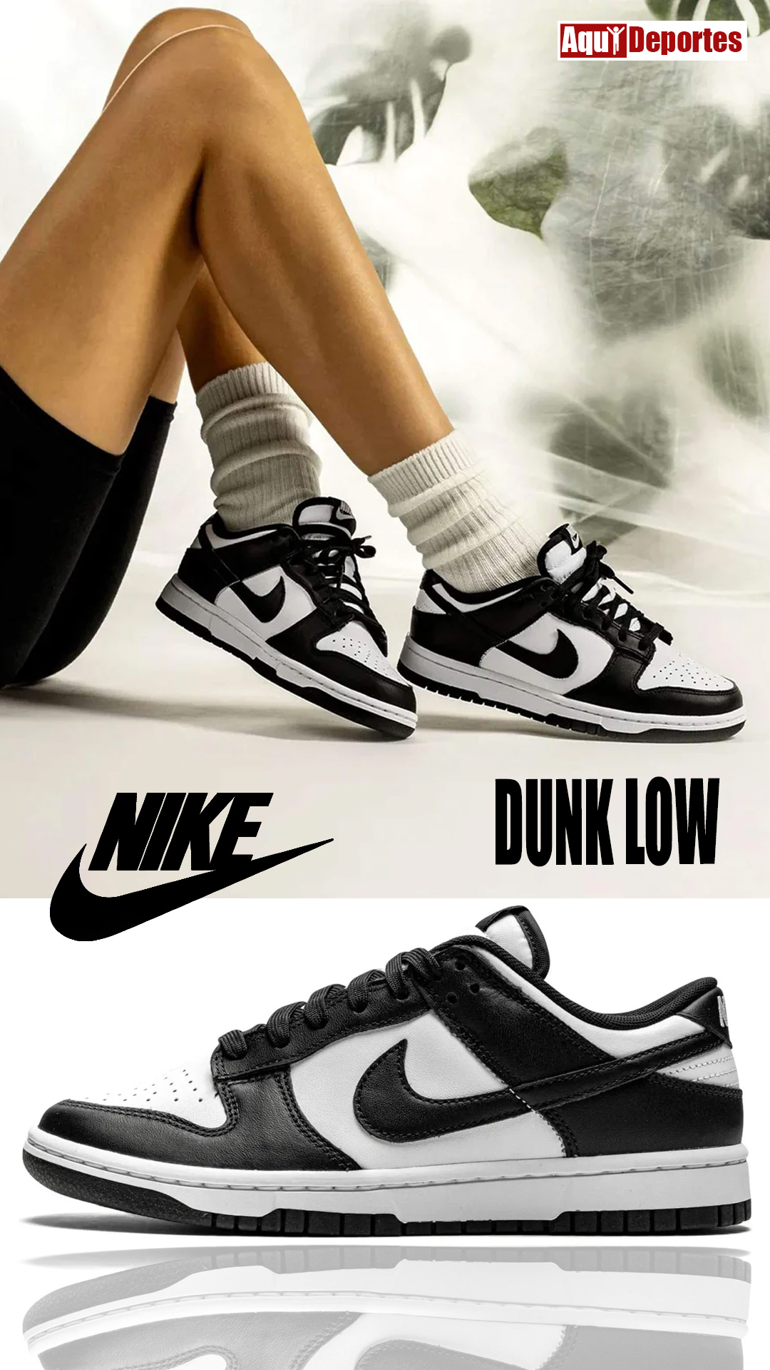 DUNK LOW