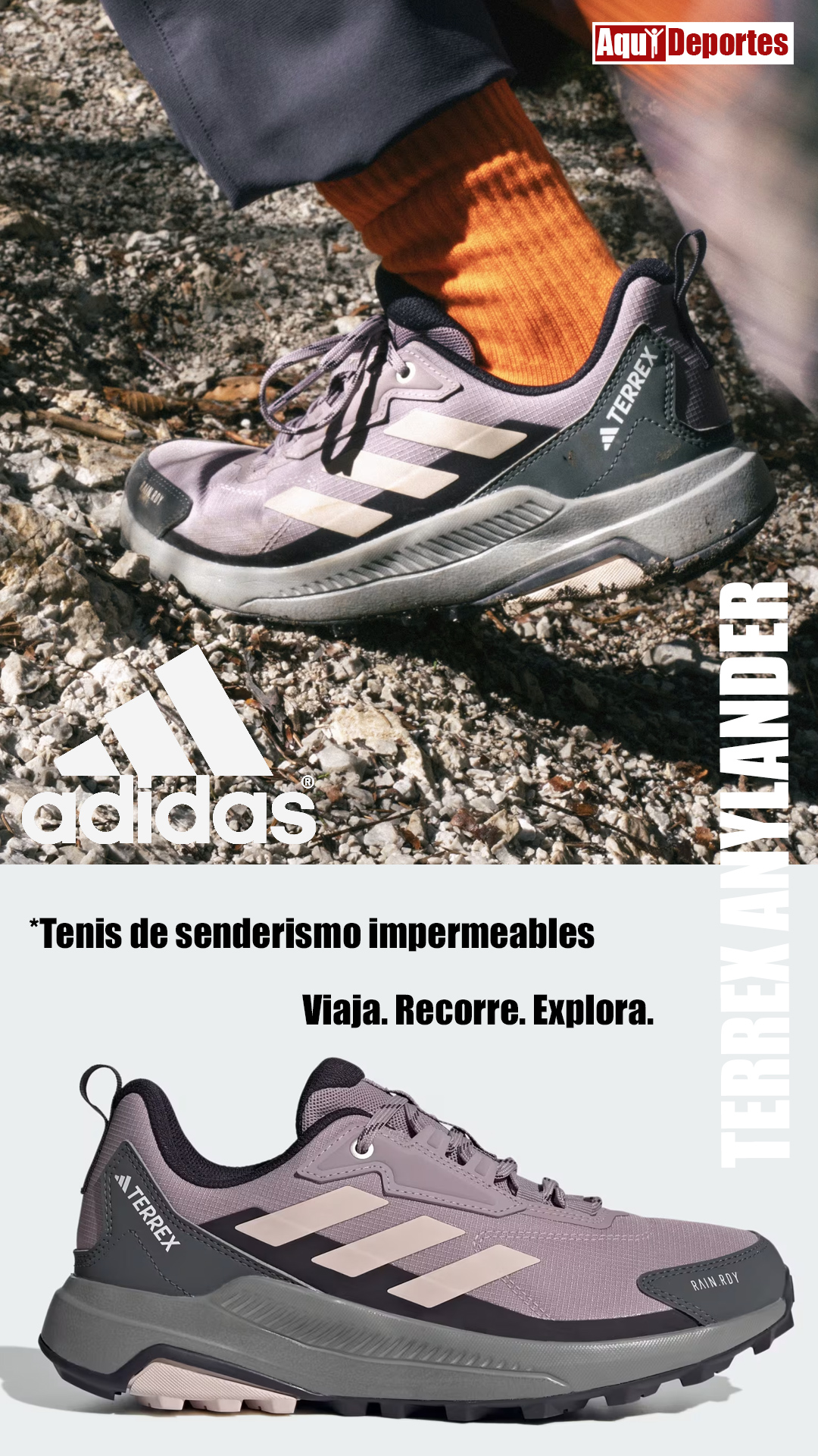 TERREX ANYLANDER R.RDY W
