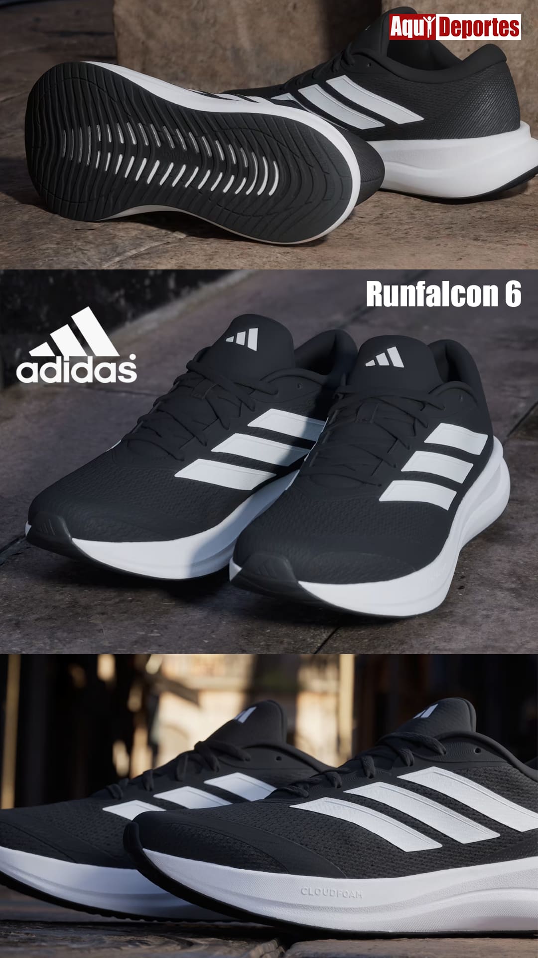 RUNFALCON 6