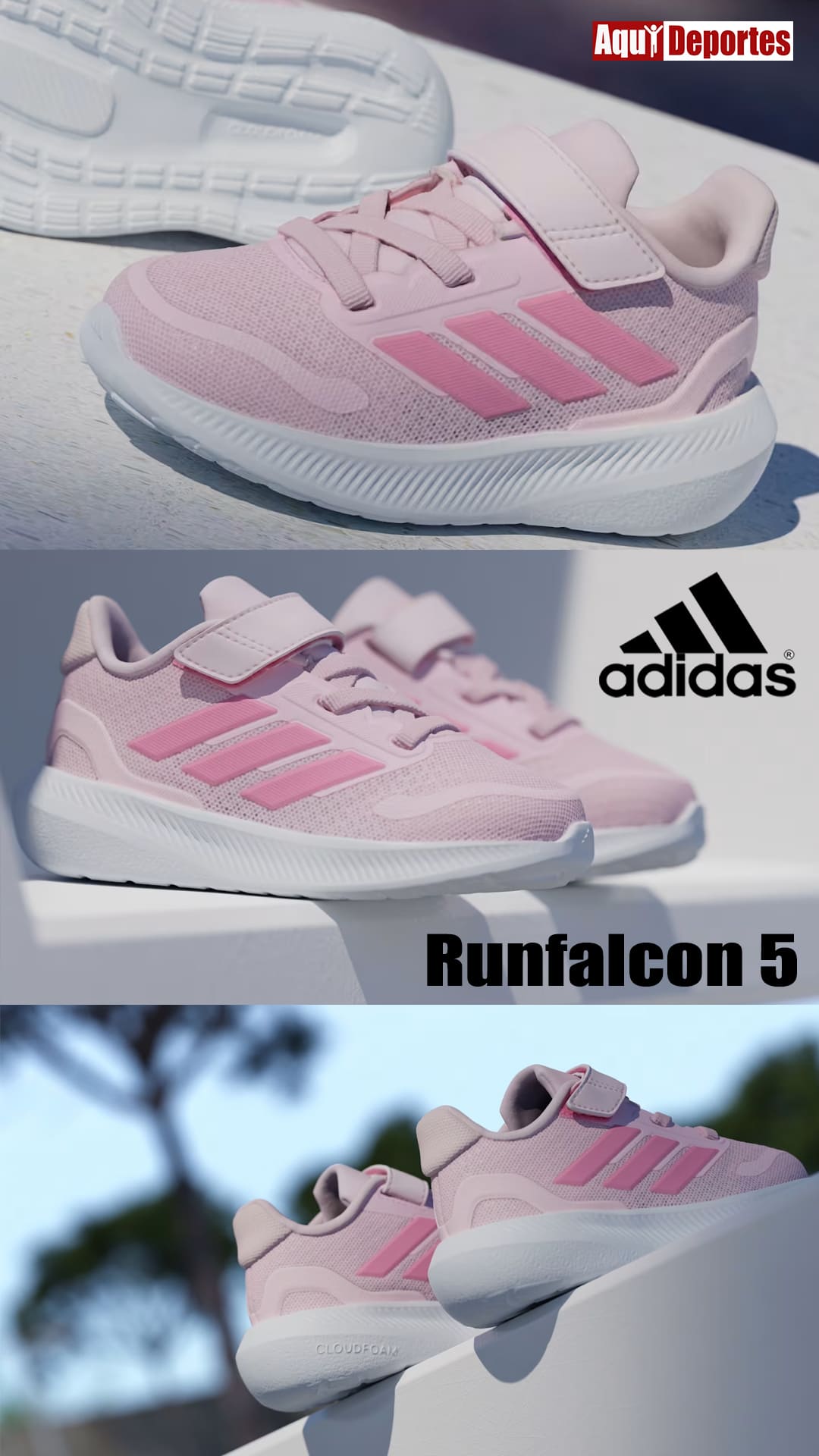 RUNFALCON 5