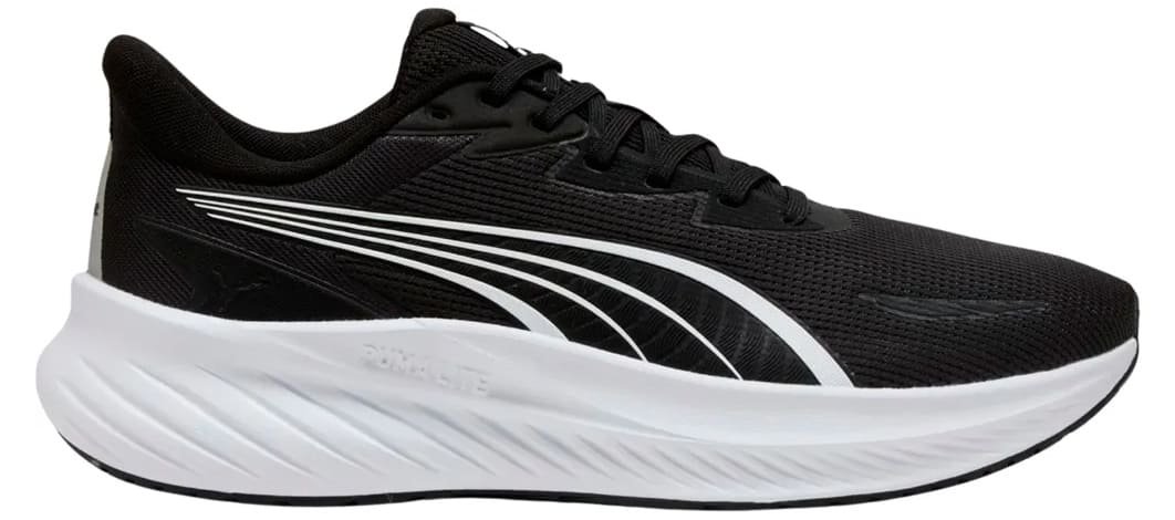 POUNCE LITE 2